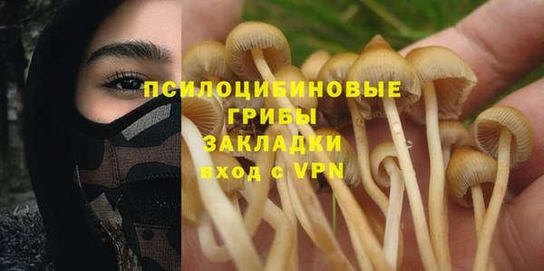 mix Богородск