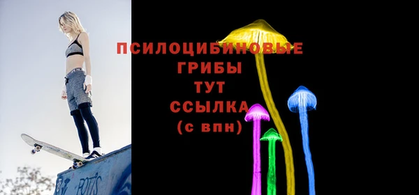 mix Богородск