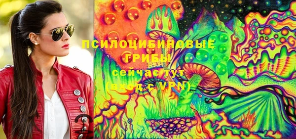 гидропоника Богданович