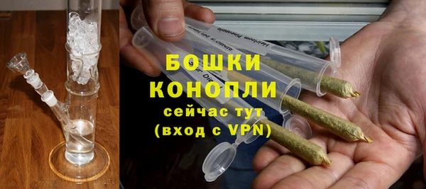 гидропоника Богданович